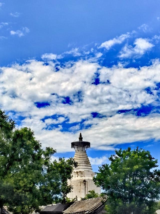 AI生成視頻，撐起1.5萬億市場